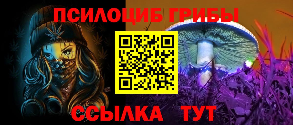 Псилоцибиновые грибы мицелий  Вход с VPN  Петрозаводск 